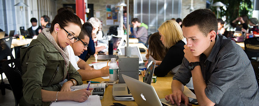Students studying with laptops and notes in a library, representing dedication to earning a Bachelor Degree.