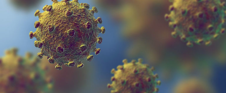 Coronavirus Information and Guidance | Mont Rose College