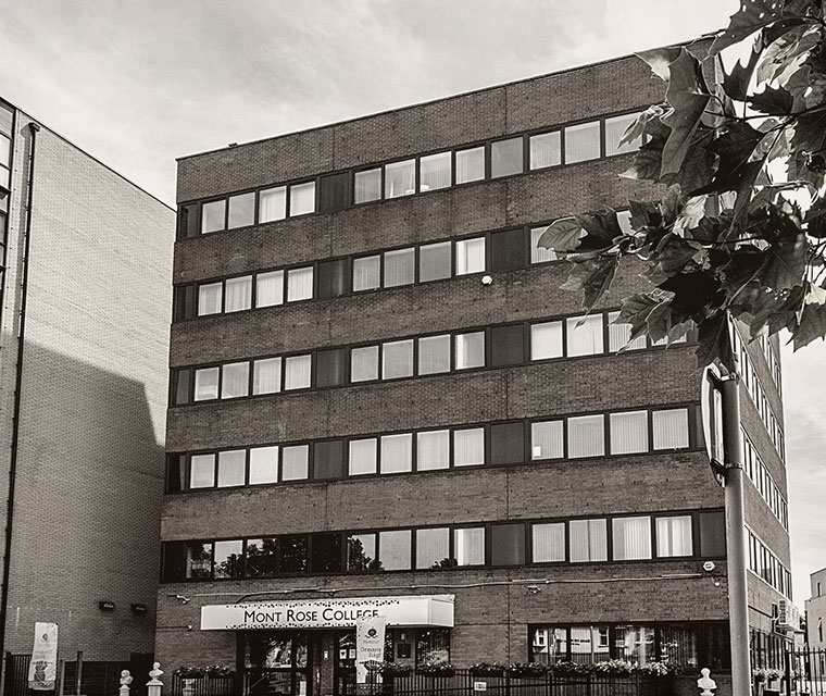 Business Management Courses | Mont Rose College