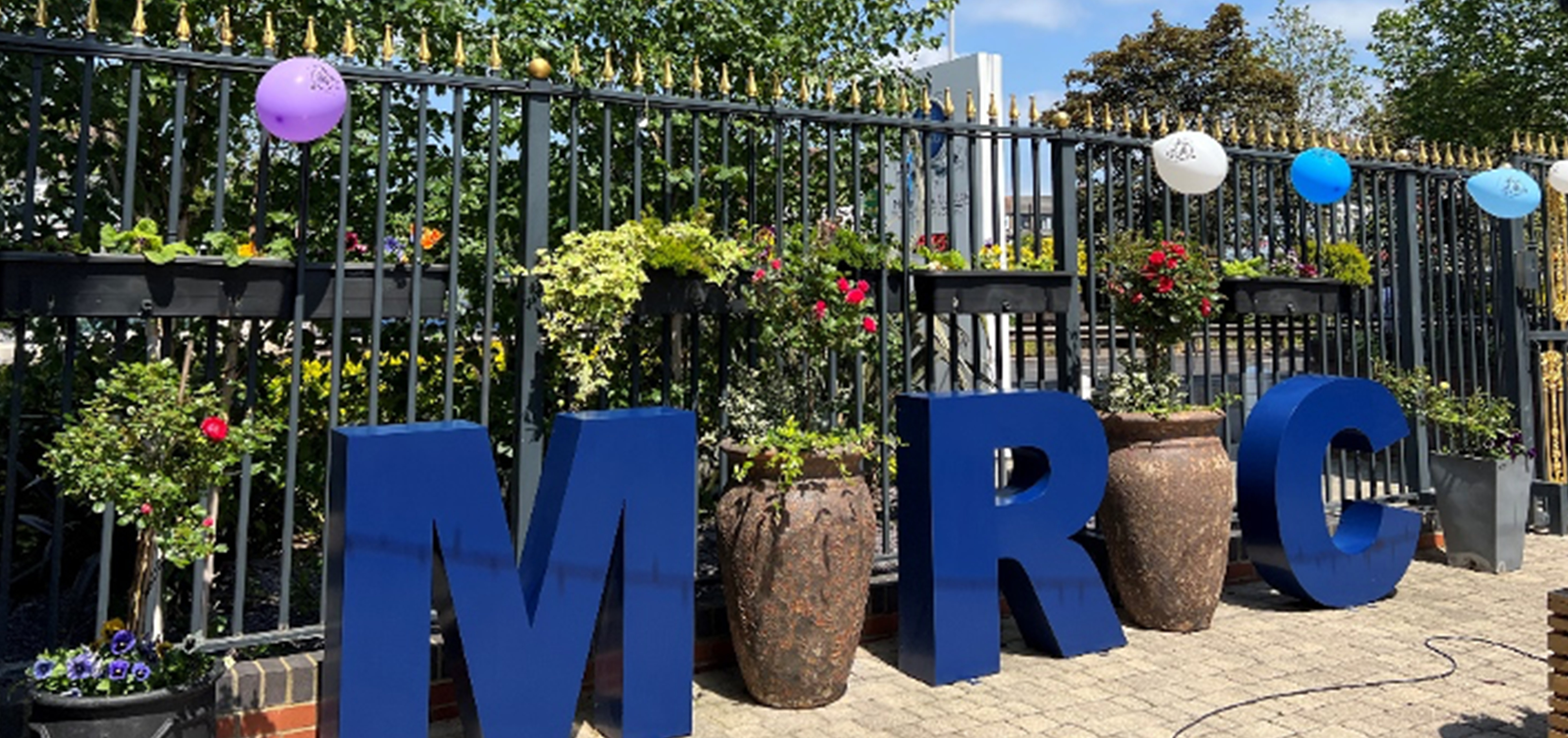 Mont Rose | Mont Rose College