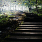 Undergraduate Course | Mont Rose College