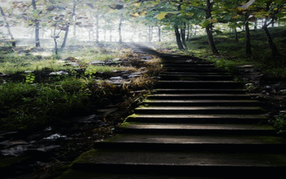 Undergraduate Course | Mont Rose College