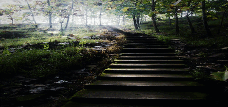 Undergraduate Course | Mont Rose College