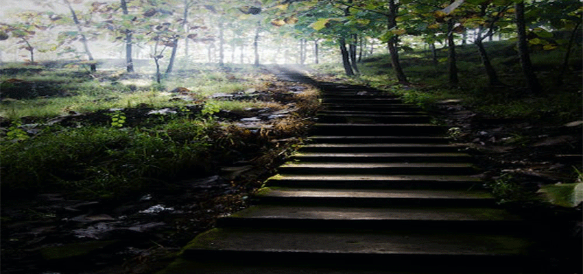 Undergraduate Course | Mont Rose College