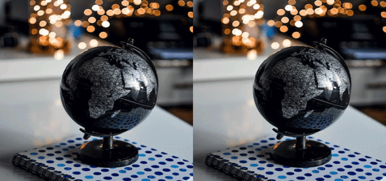 Business management | Mont Rose College