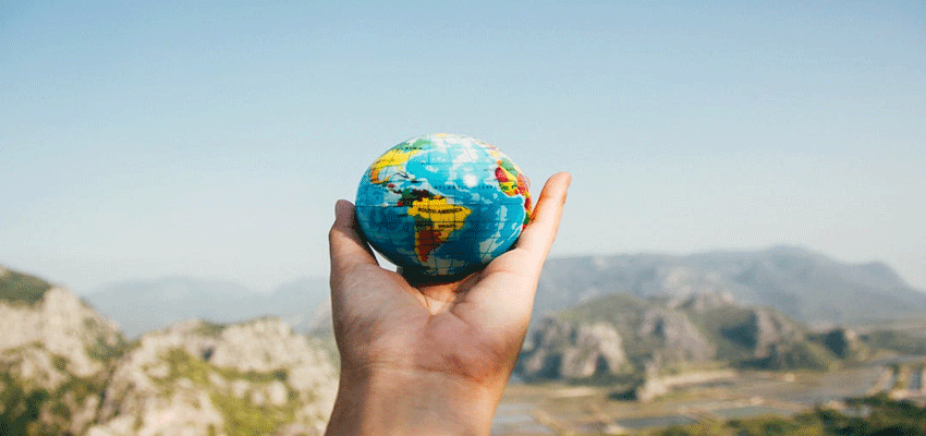 International MBA degree | Mont Rose College