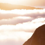 Hospitality Management | Mont Rose College