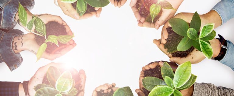 Hands holding small plants in a circle, symbolizing Environment Day at Mont Rose College